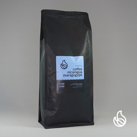 kawa nicaragua maragogype