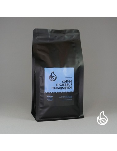 kawa nicaragua maragogype