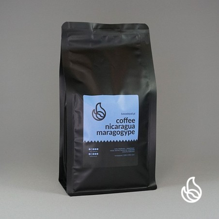 kawa nicaragua maragogype