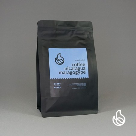 kawa nicaragua maragogype
