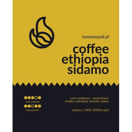 kawa ethiopia sidamo - puszka 120g