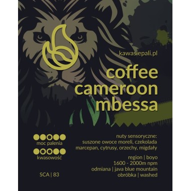 kawa cameroon mbessa w butelce 280g
