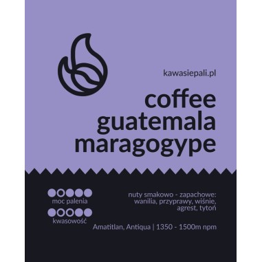 kawa guatemala maragogype w butelce 280g