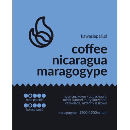 kawa nicaragua maragogype w butelce 280g
