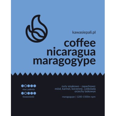 kawa nicaragua maragogype
