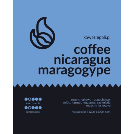 kawa nicaragua maragogype