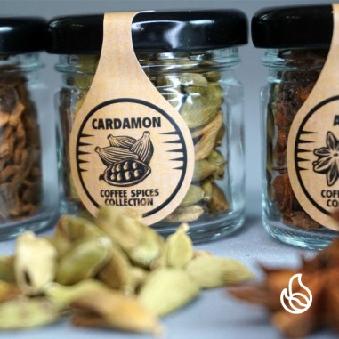 coffee spices collection - przyprawy do kawy