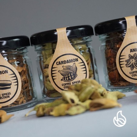 coffee spices collection - przyprawy do kawy